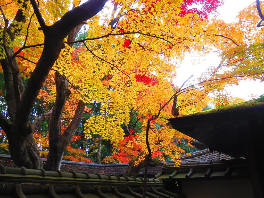Murasakino Guesthouse Kyoto Ngoại thất bức ảnh
