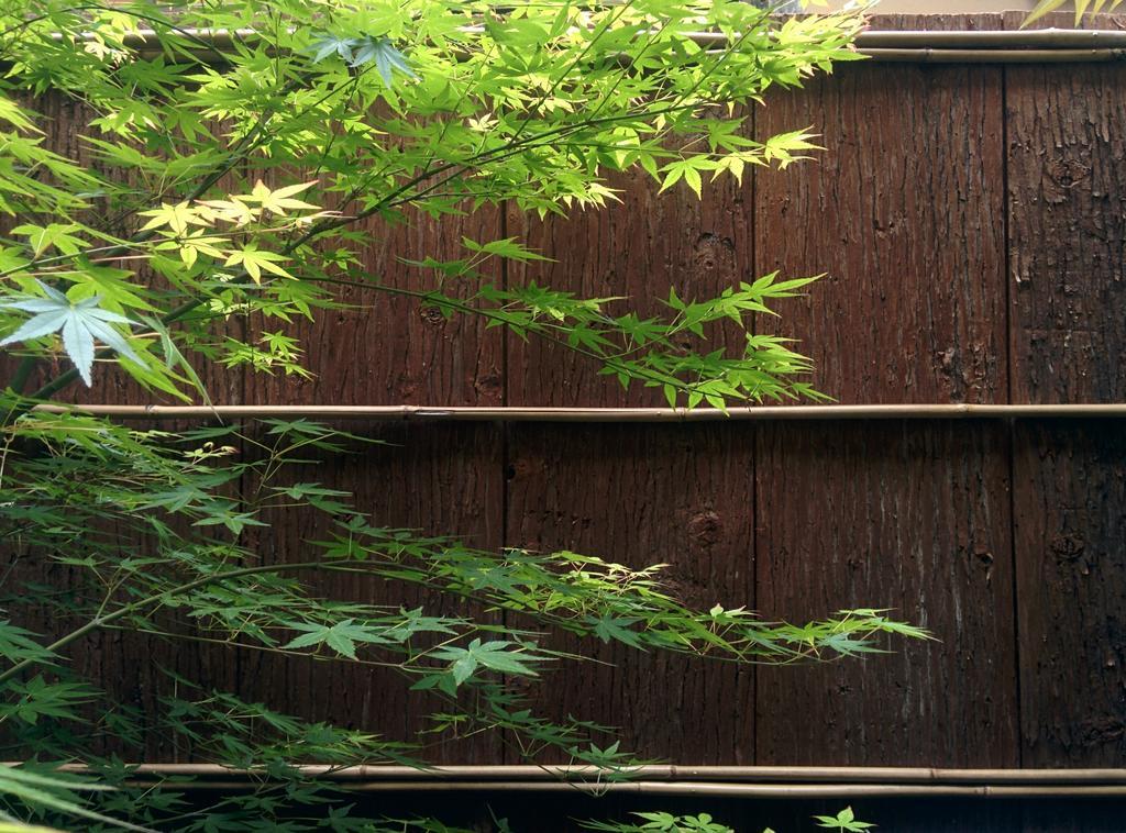 Murasakino Guesthouse Kyoto Ngoại thất bức ảnh